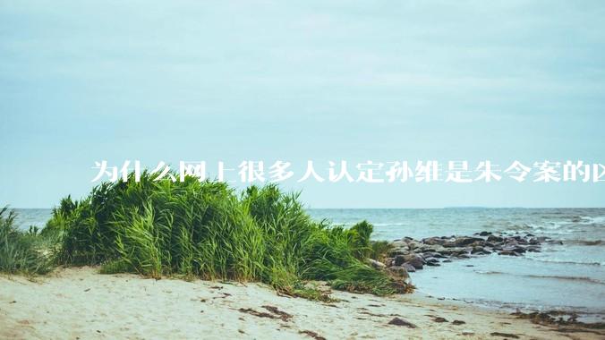 为什么网上很多人认定孙维是朱令案的凶手？